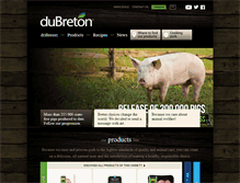 Tablet Screenshot of dubreton.com
